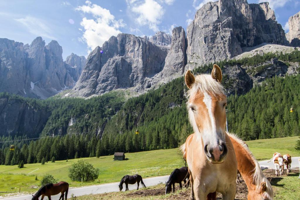 Chalet Madrisa Corvara Buitenkant foto